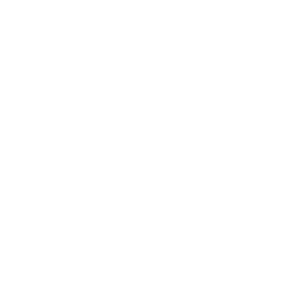 icons-02-150x150-1